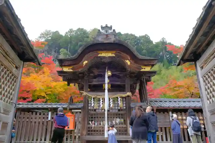 鍬山神社(京都府)