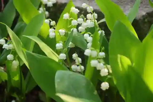開成山大神宮の庭園