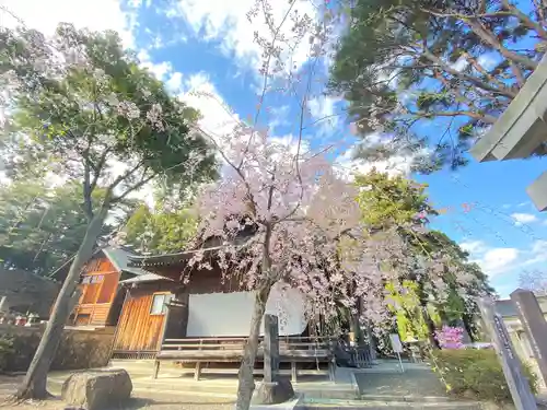 豊景神社の自然