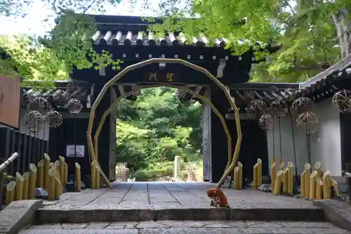 よみうりランド観音(東京都)