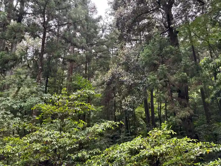 伊勢神宮内宮(皇大神宮)(三重県)