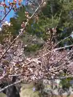 上杉神社の自然