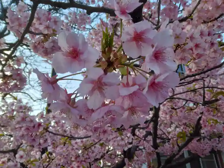 龍王院(東京都)