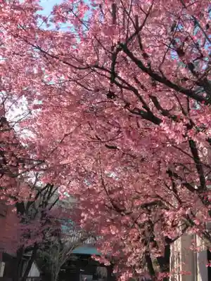 寿福寺(東京都)
