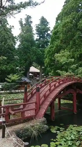 金剛證寺の庭園