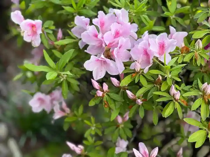 西方山極楽寺(岐阜県)