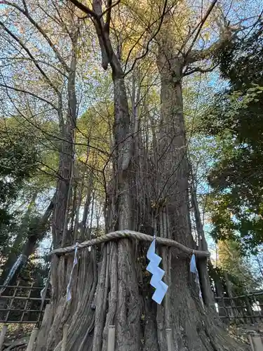 大國魂神社(東京都)