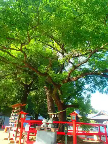 箭弓稲荷神社の自然