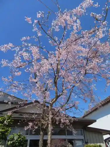圓養寺(福島県)