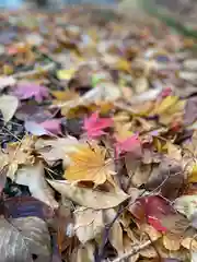 花巻温泉稲荷神社の自然