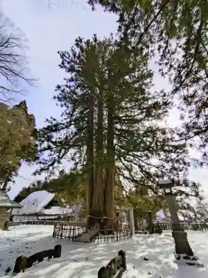 戸隠神社中社(長野県)