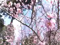 賀茂神社(福井県)