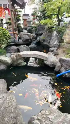 尾張猿田彦神社(愛知県)