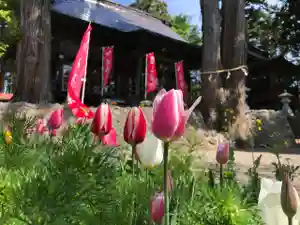 高司神社〜むすびの神の鎮まる社〜(福島県)(2023年04月28日(金) 08時08分32秒投稿)
