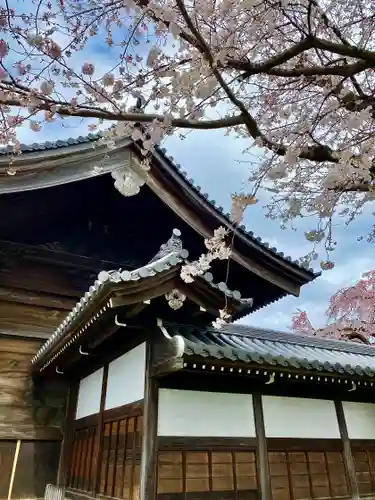 東郷寺(東京都)