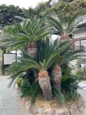 薬王寺(神奈川県)
