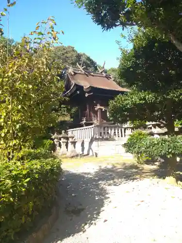 阿智神社の本殿・本堂