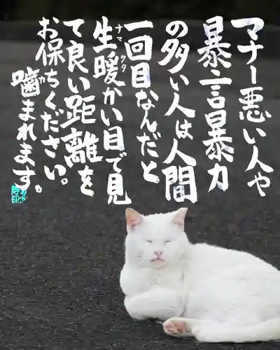 専念寺(大阪府)