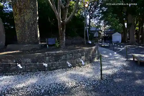 玉前神社のその他建物
