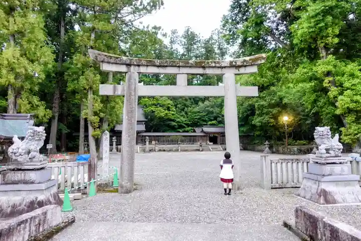 多賀大社の鳥居