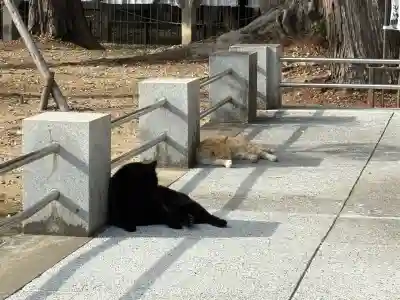 豊川閣　妙厳寺(愛知県)