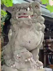 菊名神社の狛犬