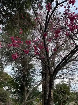 長谷寺(神奈川県)
