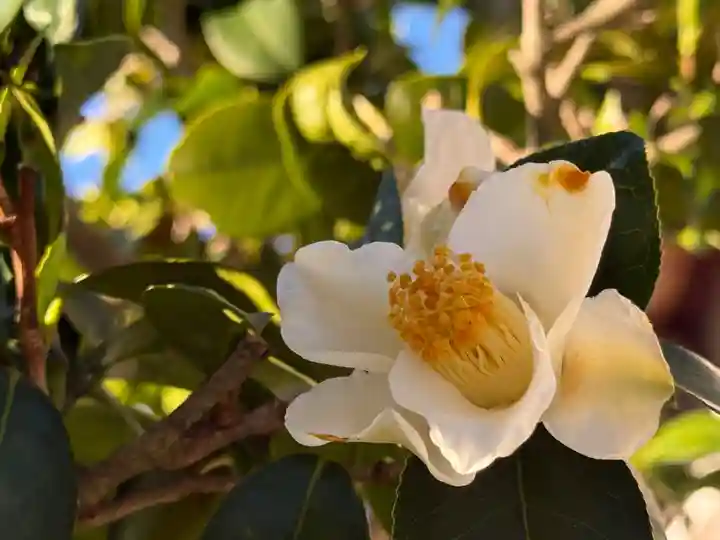西方山極楽寺(岐阜県)
