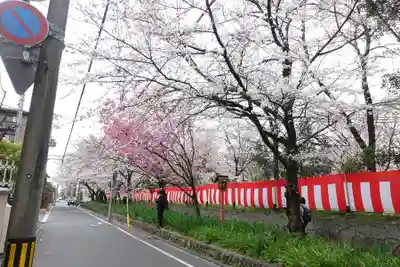 平野神社(京都府)