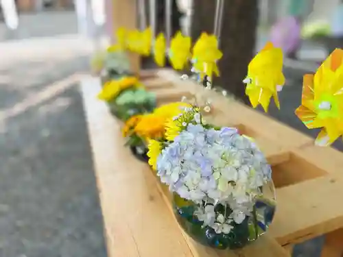 札幌諏訪神社の体験その他