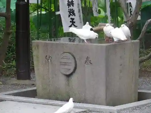 旗上弁財天社の動物