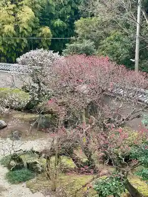 成田山平和大塔(千葉県)