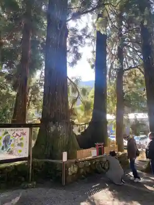 室生龍穴神社(奈良県)
