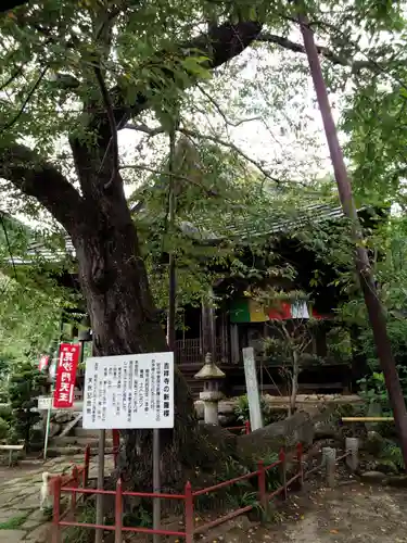 吉祥寺の本殿