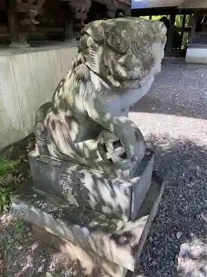 住吉神社の狛犬