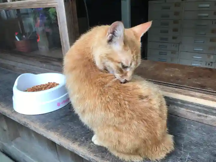 伊佐須美神社の動物