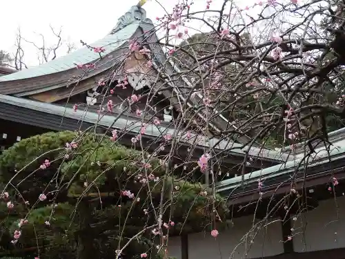 江島神社のその他建物