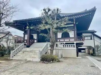 清源寺(東京都)