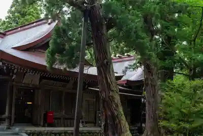 越中一宮 髙瀬神社(富山県)