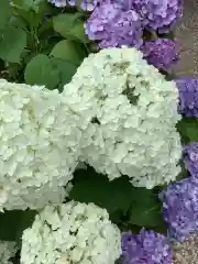 三輪神社の自然