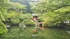 醍醐寺の庭園