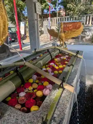 富岡八幡宮(東京都)