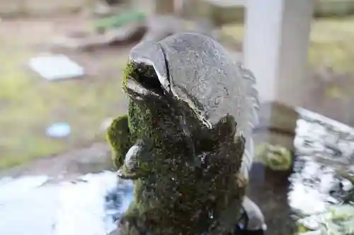 神炊館神社 ⁂奥州須賀川総鎮守⁂の手水舎
