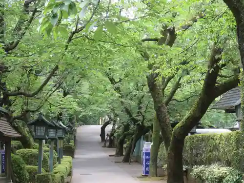 密藏院(埼玉県)