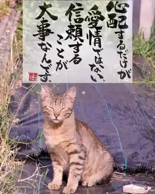 専念寺(大阪府)