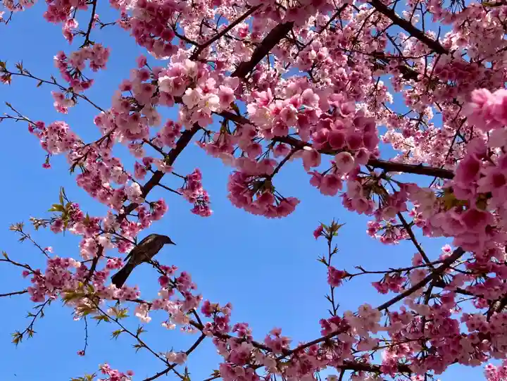 名古屋東照宮の周辺