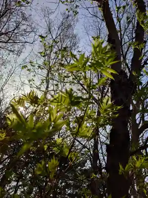 相馬神社(北海道)