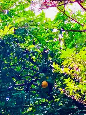 成田熊野神社(千葉県)