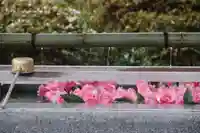 豊景神社の手水舎