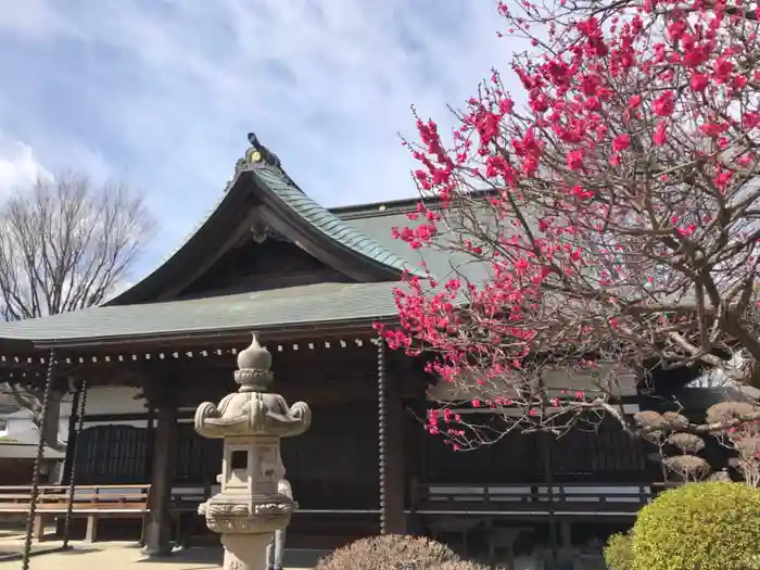 大昌寺の本殿